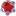 plasmodb.org