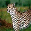 lautarolugones.over-blog.com