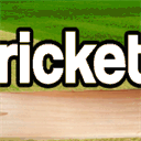 oyecricket.com