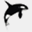 adoptanorca.org