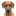 rhodesian-ridgeback-hilfe.de