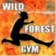 wildforestgym.wordpress.com