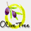 olivetreewood.com