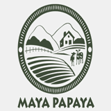 mayapapayacsa.com