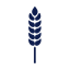 mgi-iserlohn.de