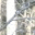 fullpotentialchiropractic.wordpress.com