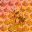 goldenbee.com.au
