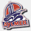 atome.hockeyaylmer.com