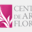 centrodeartefloral.com