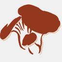 ifunghi.com