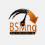 bsmng.com