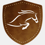 greatgametravel.co.uk