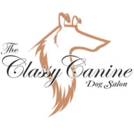 cleaner-carpetcleaning.com