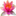 tictia.com