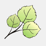 cmffl.com