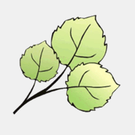 cmffl.com