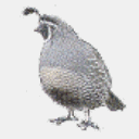 lprg.org