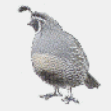 lprg.org