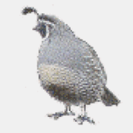 lprg.org