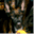 ipdnet.de