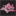 bloomngrow.com