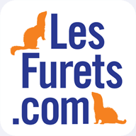 lesjeuxolympiques.com