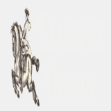 klassische-dressur.doris-lenzen.de