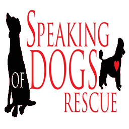 speakingofdogs.com