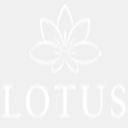 lotusrealtech.com