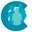 cdraneconsulting.us