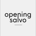 opening-salvo.com