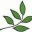 yusufherbal.wordpress.com