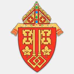 petermueller-online.com
