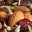 elpoderdemagnesio.wordpress.com