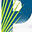 palmettoshelving.com