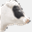 barham-caravan.com