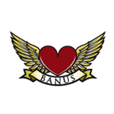 lovebeginsatforty.com