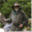 skagitmuzzleloaders.com