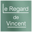 leregardevincent.fr