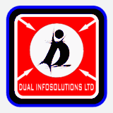 dualinfosolutions.info