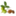cevizfidancilik.net