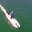 pacific-fishing-kayaks.com