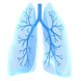 pneumonologiko-iatreio.com