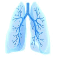 pneumonologiko-iatreio.com