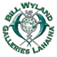 pediatricroboticsurgery.com