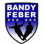 bandyfeber.com