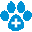 surfpawshawaii.com