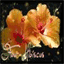 fleur-hibiscus.over-blog.com