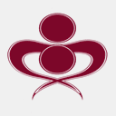 caregiversoutofisolationnl.ca