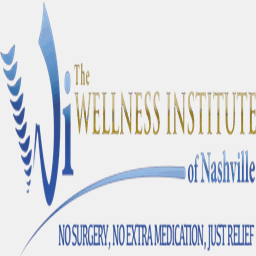 wellnessinsttn.com